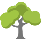 Duluth Tree Removal