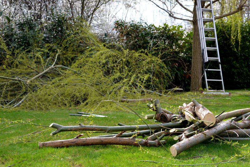 Tree Limb and Debris Disposal