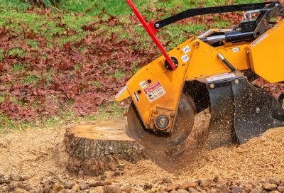 Tree Stump Grinding Services
